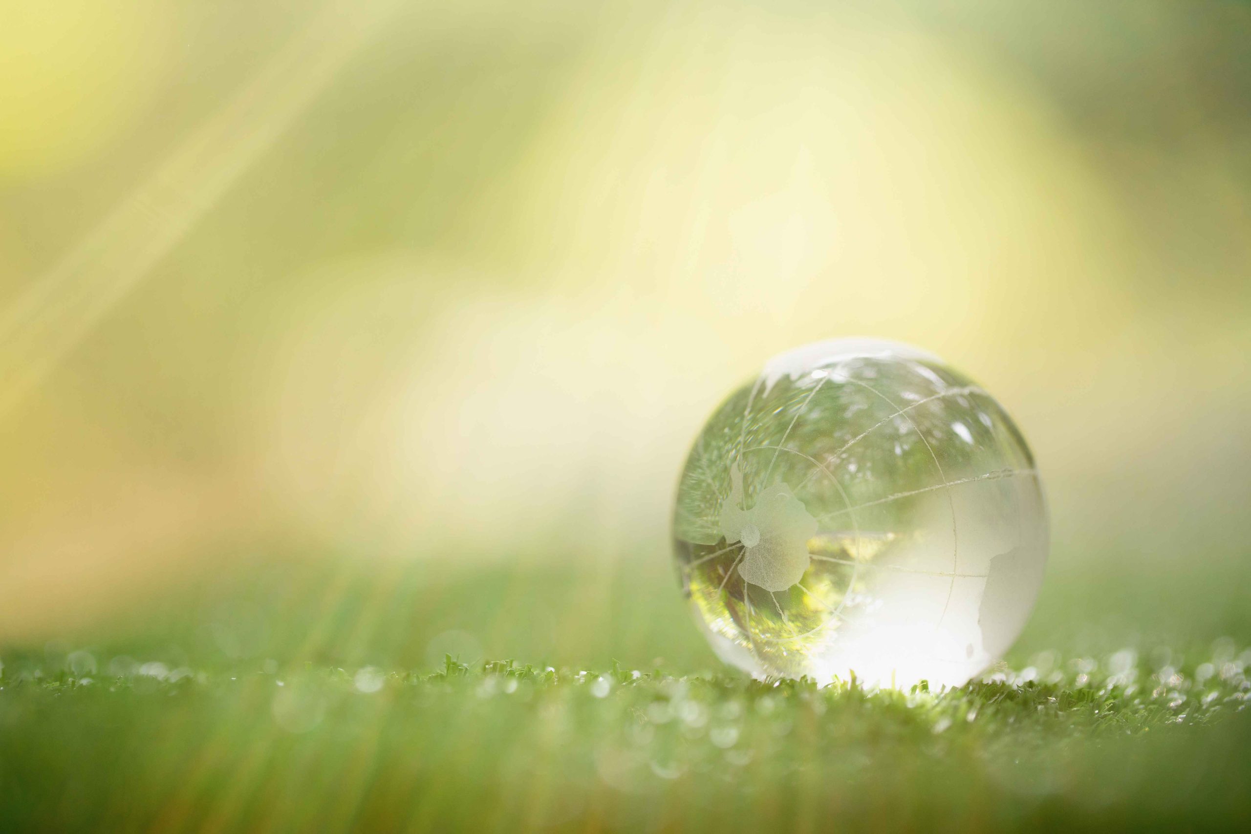 GREEN HOSPITAL: LA SANITÀ CHE RISPETTA L’AMBIENTE