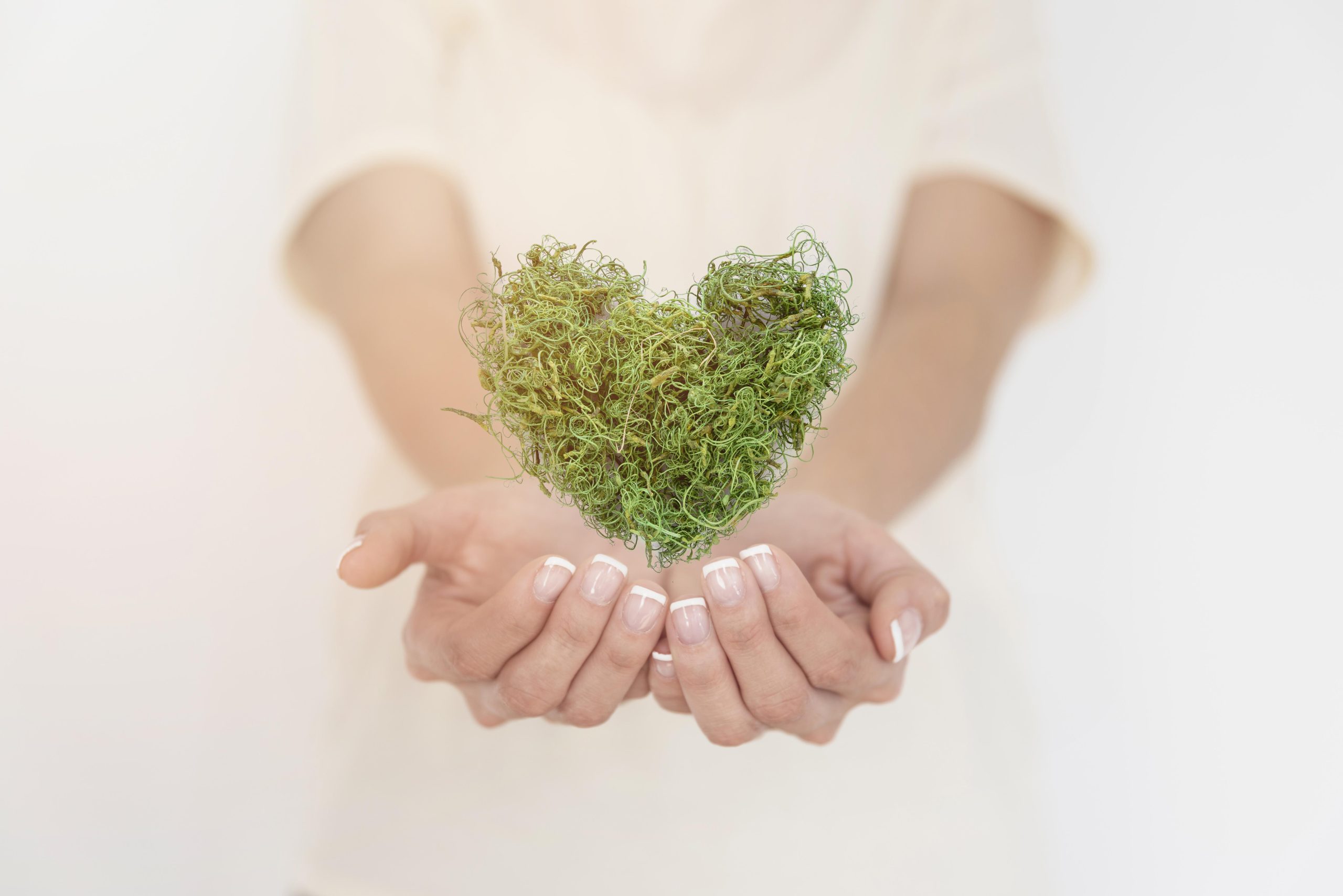 ONE HEALTH: UN APPROCCIO INTEGRATO PER LA SALUTE GLOBALE